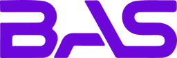 BAS Detailing Logo